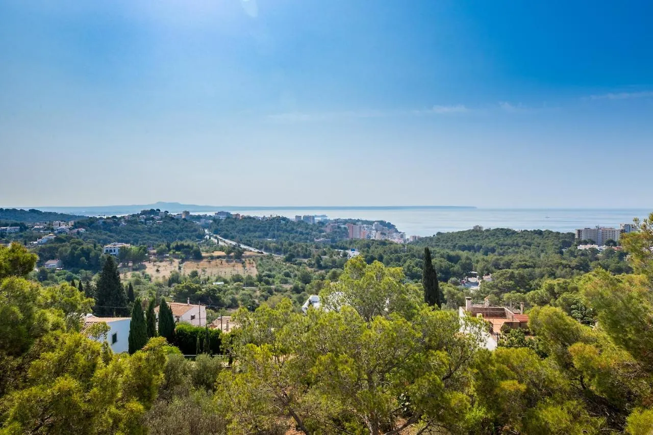 Holiday home Big Villa Can Pedro In Palma De Mallorca